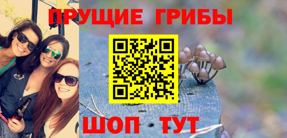Псилоцибиновые грибы Psilocybine cubensis  Псилоцибиновые грибы Psilocybe  Вход с VPN  Нарткала 